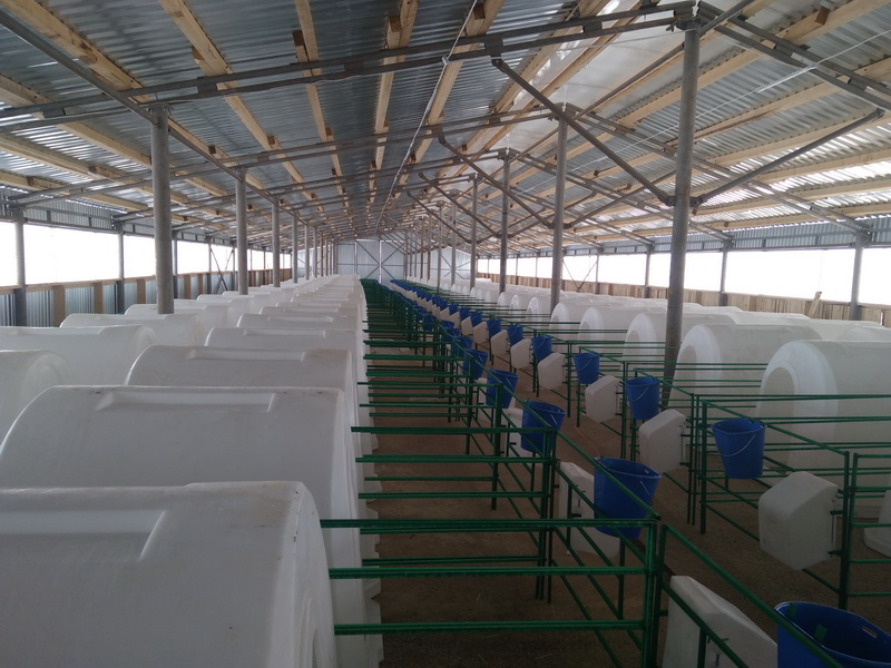 Пластиковый домик для содержания телят эргономичной формы 2000мм