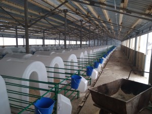 Пластиковый домик для содержания телят эргономичной формы 2000мм 