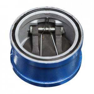 Клапан обратный чугунный 50 